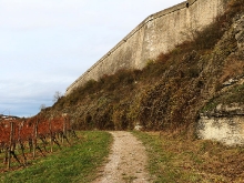 Festung Marienberg_6