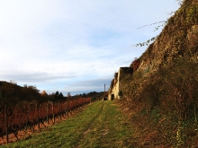 Festung Marienberg_8