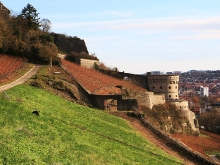 Festung Marienberg_16