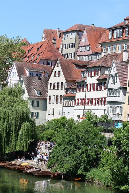 Stocherkahnrennen in Tübingen_28