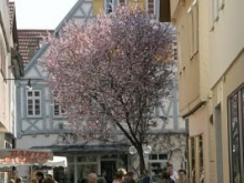 Frühling in Kirchheim