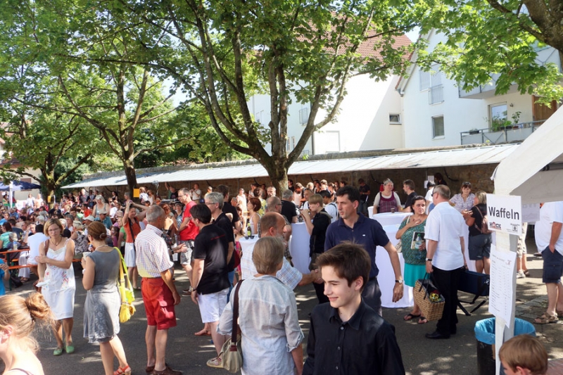 Sommerfest 2014 der Musikschule Kirchheim_5