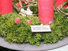 Das Weihnachtshaus von Blumen Gerber Kirchheim_27