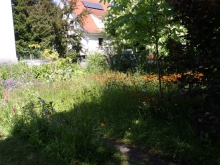 Offene Gartentüren im Klosterviertel 2013._39
