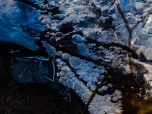 Verwunschene Eiswelt an den Bürgersee