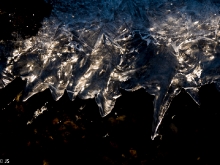 Verwunschene Eiswelt an den Bürgersee