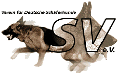 Hundesportverein SV OG Kirchheim-Jesingen