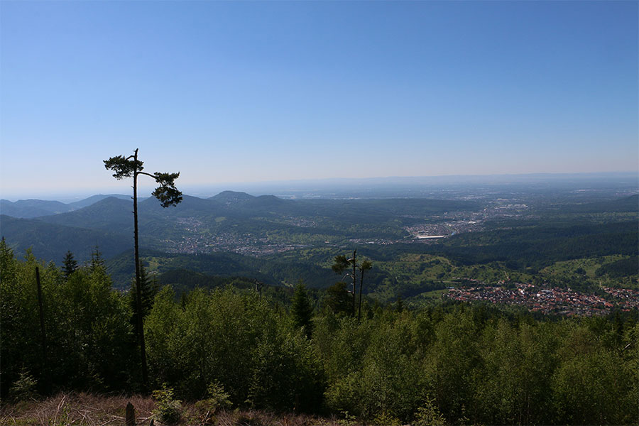 Nordschwarzwald