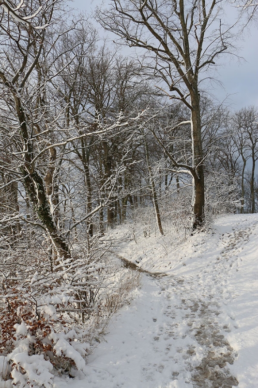 Reussenstein Winter 2014/15