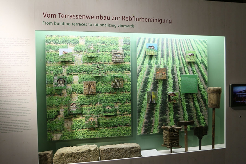 Weinmuseum in Stuttgart