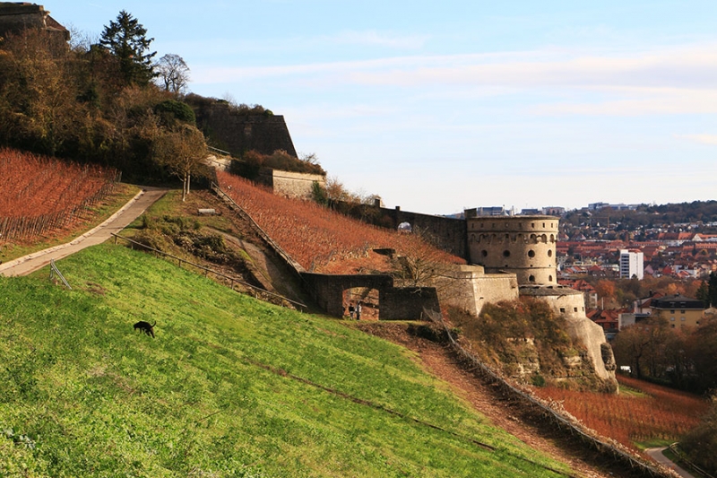 Festung Marienberg_16
