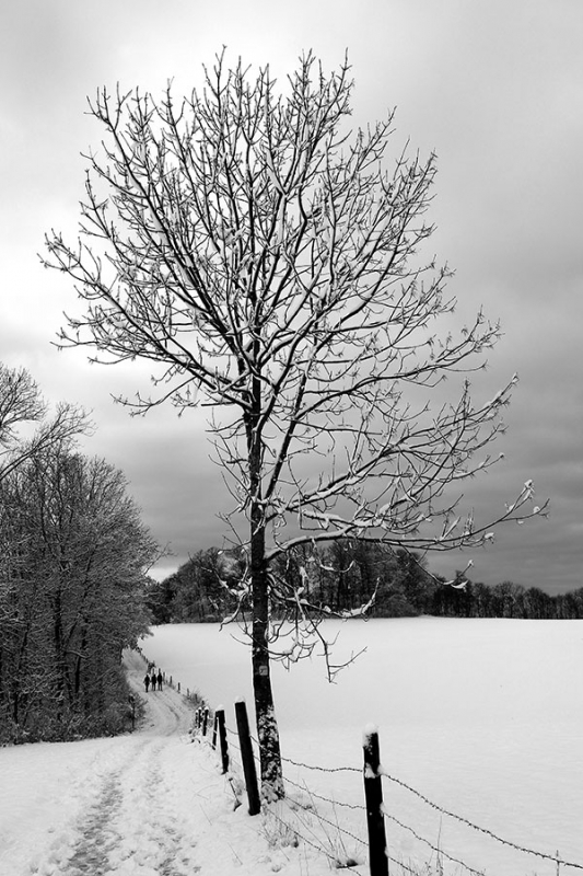 Reussenstein Winter 2014/15