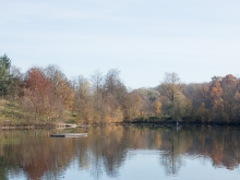 Bürgersee Herbstimpressionen