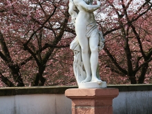 Schlossgarten Schwetzingen_30