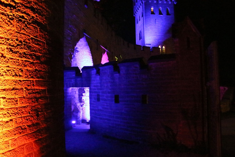 Sternschnuppennacht auf der Burg Hohenzollern_69