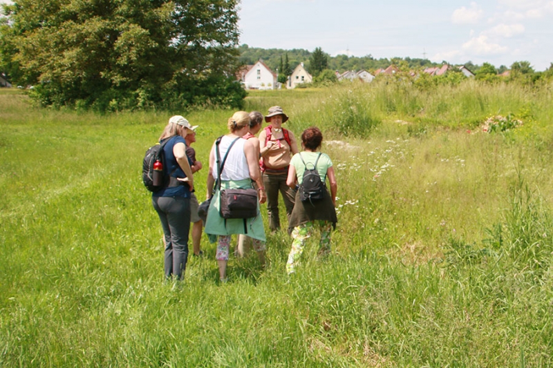 Wildkräuterspaziergänge mit der Kräuterpädagogin Simone Kerner.
