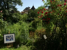 Offene Gartentüren im Klosterviertel 2013 