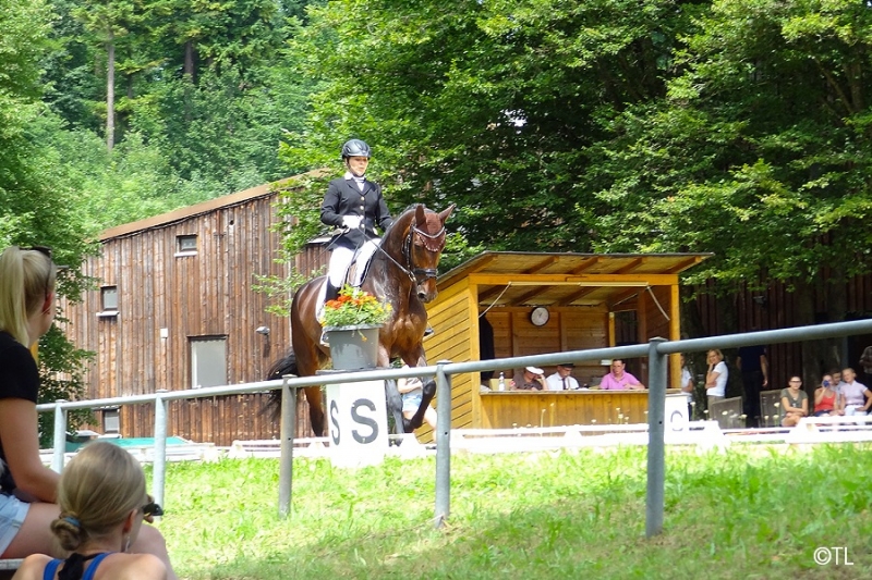 Dressurturnier Reitervereins Nürtingen 2017