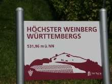 Weinlese in den Limburger Weinbergen_10